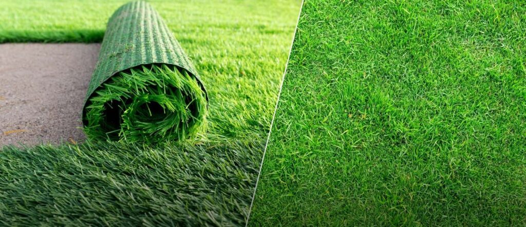 Natural Grass vs. Artificial Turf